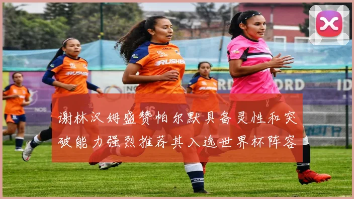 谢林汉姆盛赞帕尔默具备灵性和突破能力强烈推荐其入选世界杯阵容